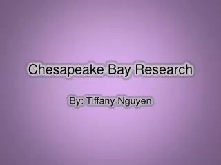 Chesapeake Bay Research