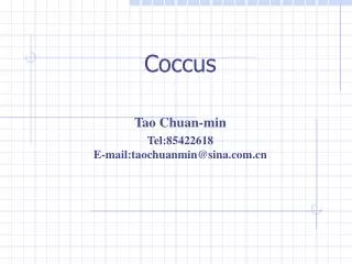 Coccus Tao Chuan-min Tel:85422618 E-mail:taochuanmin@sina