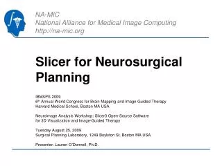 Slicer for Neurosurgical Planning