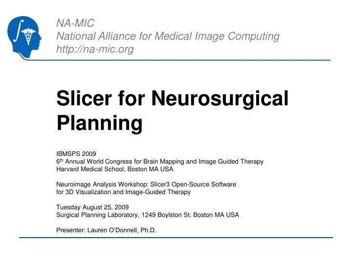slicer for neurosurgical planning