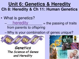 Unit 6: Genetics &amp; Heredity Ch 8: Heredity &amp; Ch 11: Human Genetics