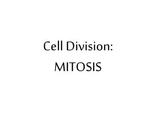 Cell Division: MITOSIS