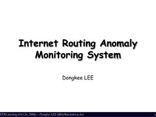 Internet Routing Anomaly Monitoring System