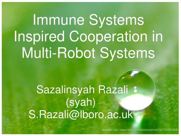 immune systems inspired cooperation in multi robot systems