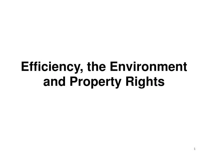 efficiency the environment and property rights