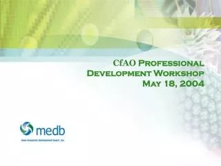 CfAO Professional Development Workshop May 18, 2004