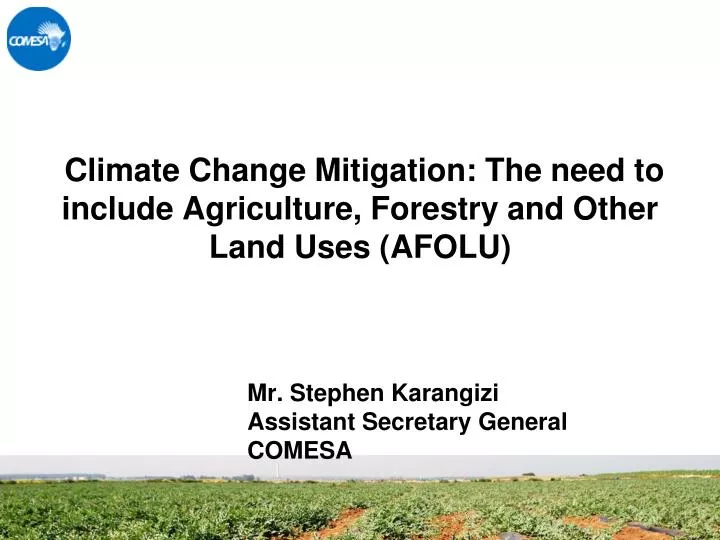 climate change mitigation the need to include agriculture forestry and other land uses afolu