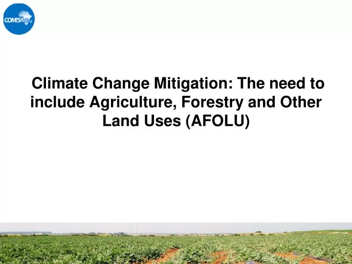 climate change mitigation the need to include agriculture forestry and other land uses afolu