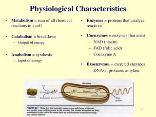 Physiological Characteristics