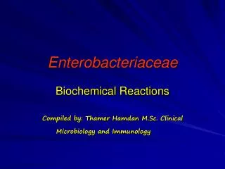 Enterobacteriaceae