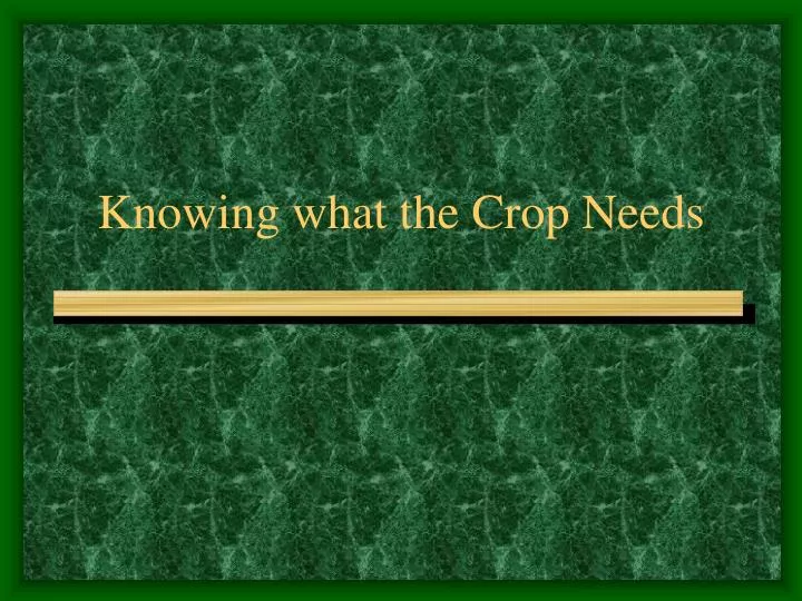 knowing what the crop needs