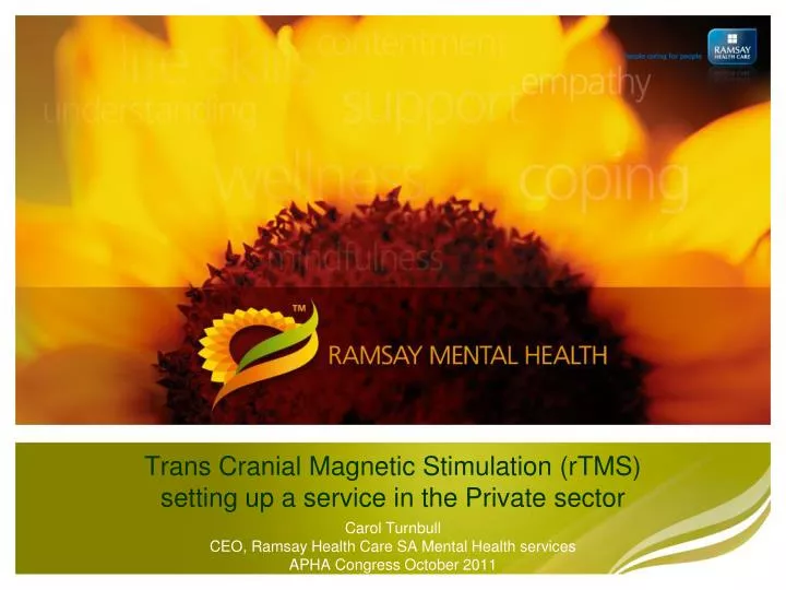 trans cranial magnetic stimulation rtms setting up a service in the private sector