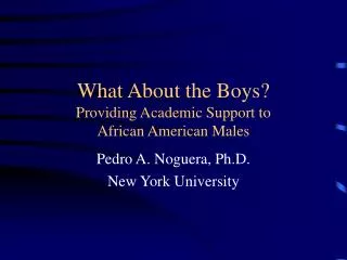 What About the Boys? Providing Academic Support to African American Males