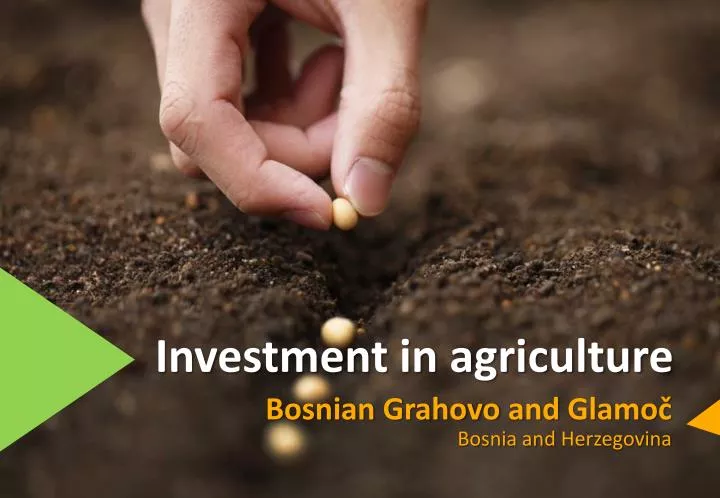 investment in agriculture