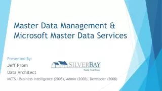 Master Data Management &amp; Microsoft Master Data Services