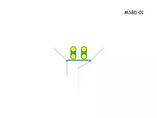 MSBD-01