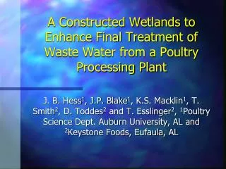 A Constructed Wetlands to Enhance Final Treatment of Waste Water from a Poultry Processing Plant