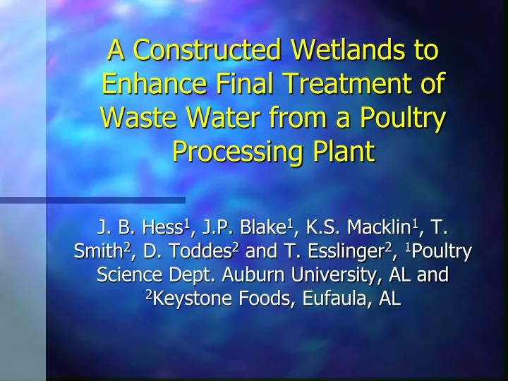 a constructed wetlands to enhance final treatment of waste water from a poultry processing plant