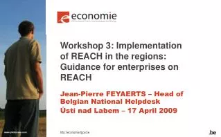 Workshop 3: Implementation of REACH in the regions: Guidance for enterprises on REACH