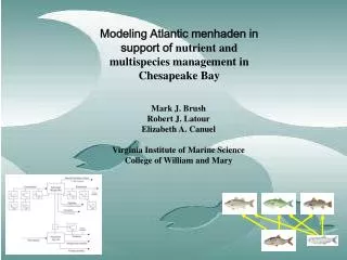 Modeling Atlantic menhaden in support of nutrient and multispecies management in Chesapeake Bay