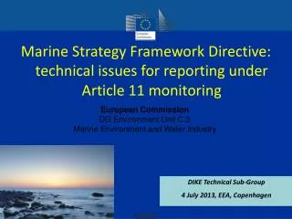 Marine Strategy Framework Directive: technical issues for reporting under Article 11 monitoring