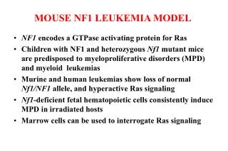 MOUSE NF1 LEUKEMIA MODEL