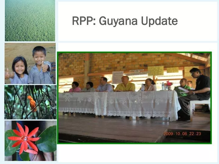 rpp guyana update
