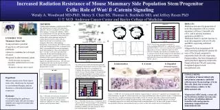 INTRODUCTION Mammary Stem Cells : Long replicative potential