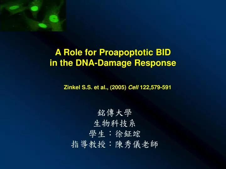 a role for proapoptotic bid in the dna damage response