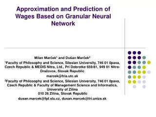 Approximation and Prediction of Wages Based on Granular Neural Network