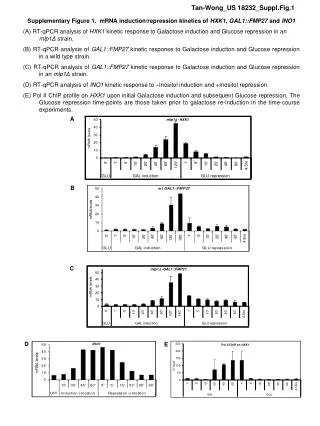 Supplementary Figure 1. mRNA induction/repression kinetics of HXK1 , GAL1::FMP27 and INO1