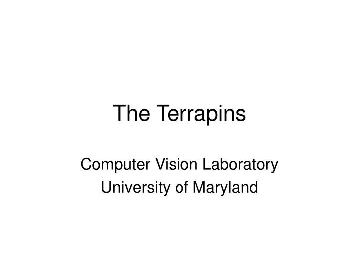 the terrapins