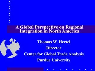 A Global Perspective on Regional Integration in North America