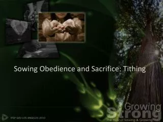 Sowing Obedience and Sacrifice: Tithing