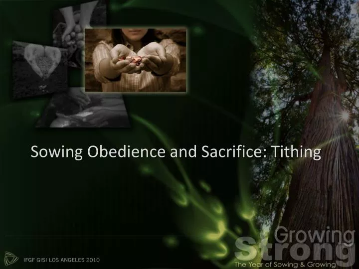 sowing obedience and sacrifice tithing