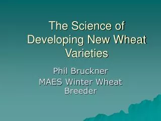 The Science of Developing New Wheat Varieties