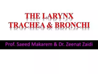 Prof. Saeed Makarem &amp; Dr. Zeenat Zaidi