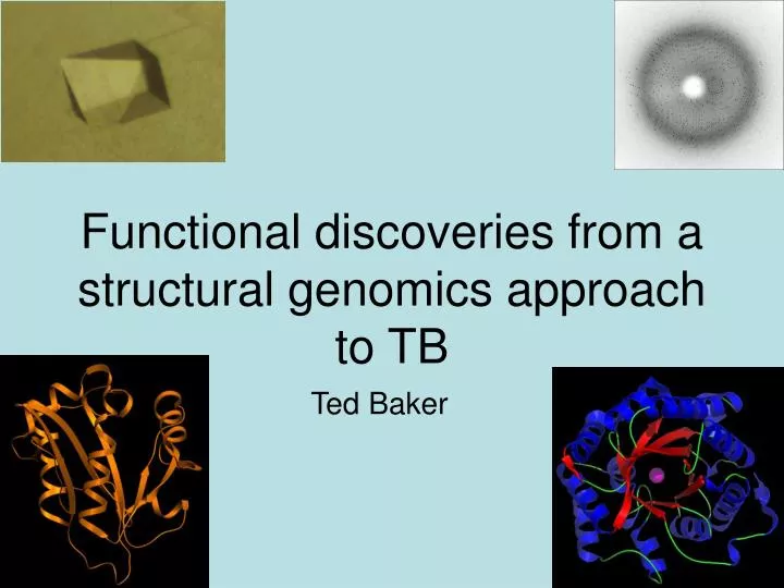 functional discoveries from a structural genomics approach to tb