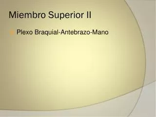 miembro superior ii