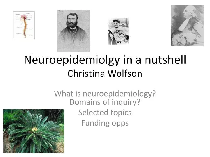 neuroepidemiolgy in a nutshell christina wolfson