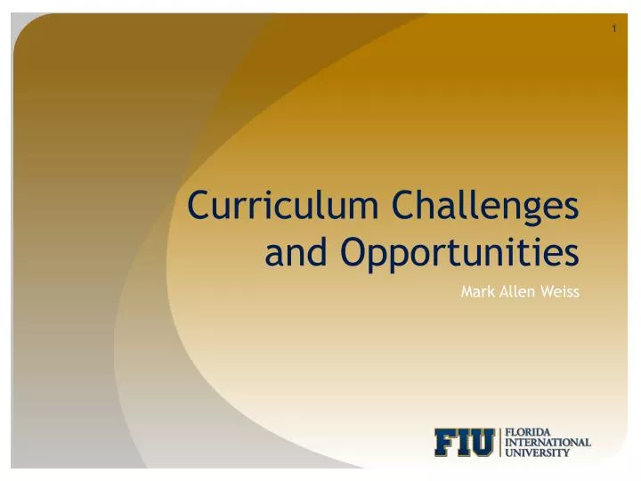 curriculum challenges and opportunities