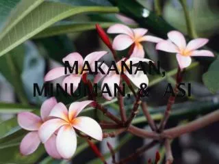 makanan minuman asi