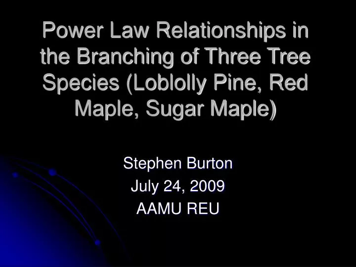 power law relationships in the branching of three tree species loblolly pine red maple sugar maple