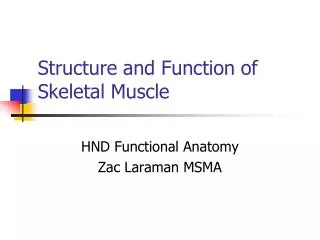 Structure and Function of Skeletal Muscle