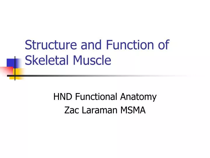 structure and function of skeletal muscle