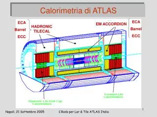 Calorimetria di ATLAS
