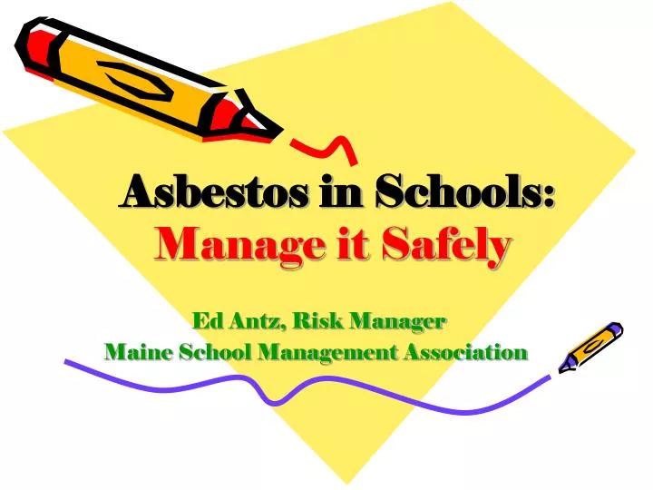 ed antz risk manager maine school management association