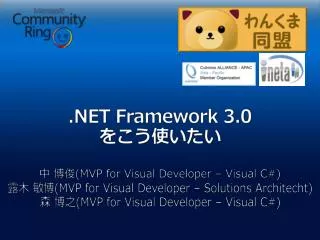 net framework 3 0