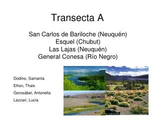 transecta a