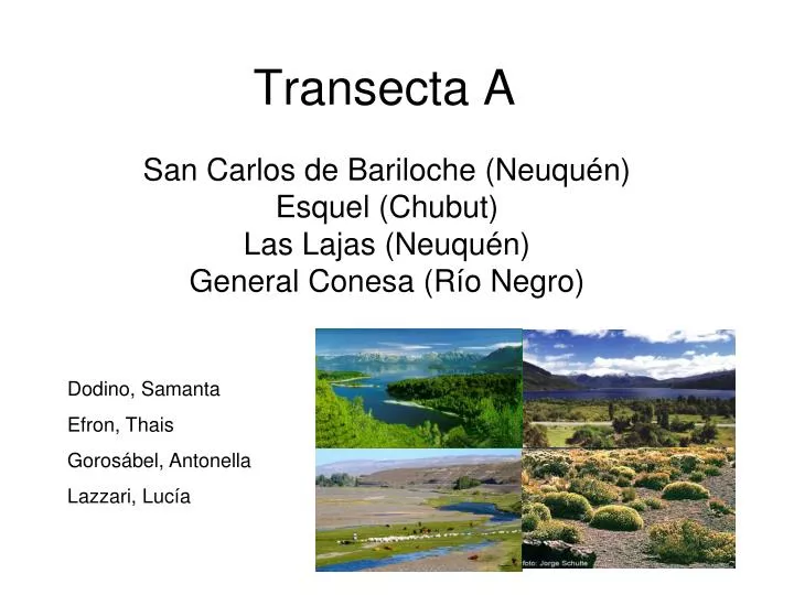 transecta a